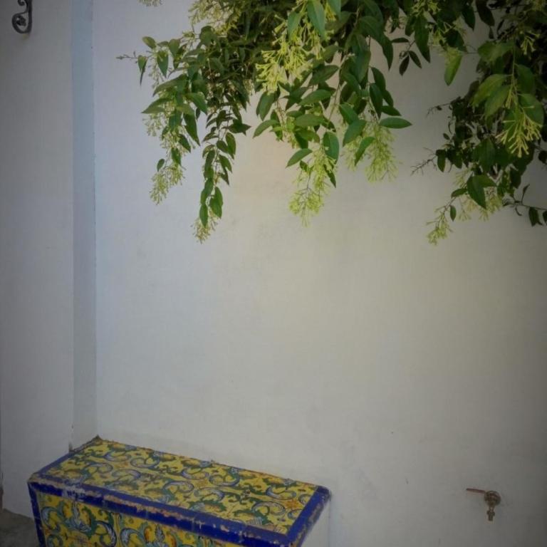 Apartment Alacas Sevilla - Apartamento de 1 dormitorio (2 adultos) - 23