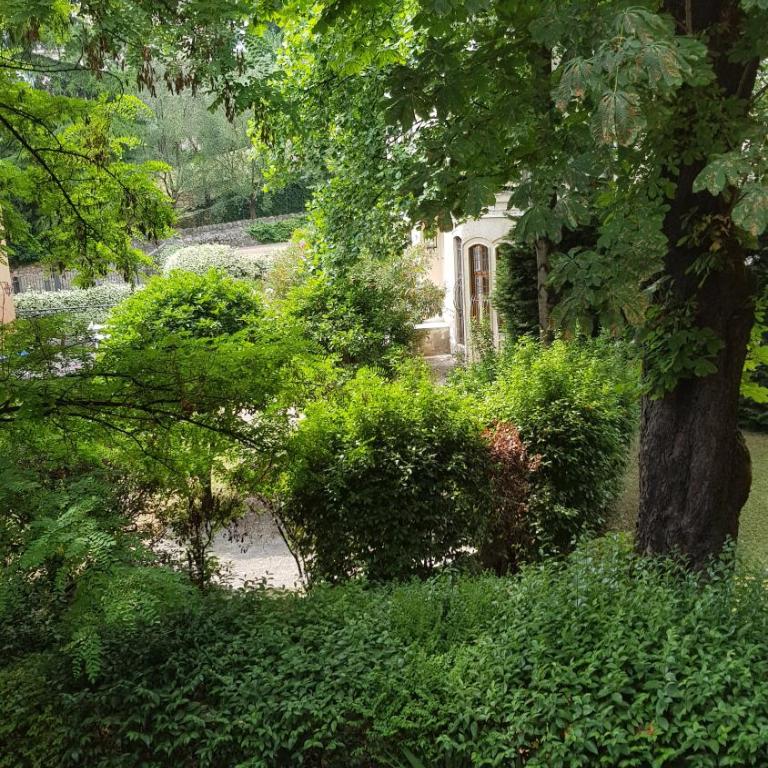 Lo Scoiattolo - Monolocale con Balcone - 10