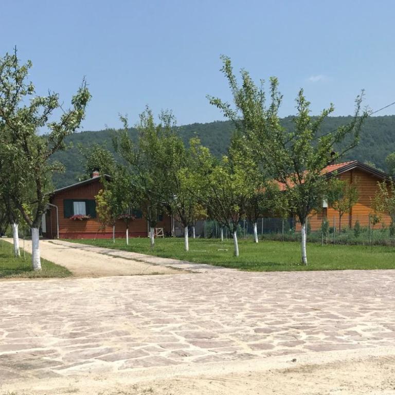 Villa Giulia - Vacation Home - 22