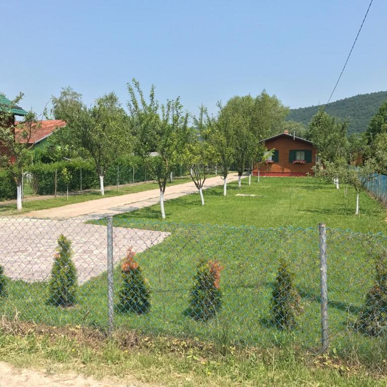 Villa Giulia - Vacation Home - 23