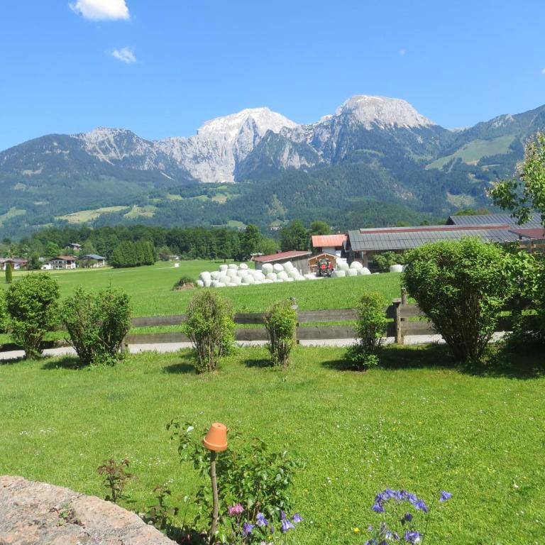Landhaus Winkelmatten - Apartment mit Terrasse - 9