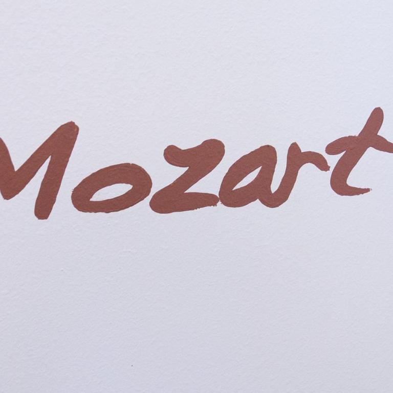 Residence Mozart by Welcome to Salzburg - Apartment mit 2 Schlafzimmern - 28