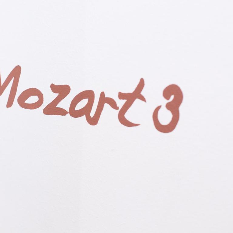 Residence Mozart by Welcome to Salzburg - Apartment mit 2 Schlafzimmern - 29