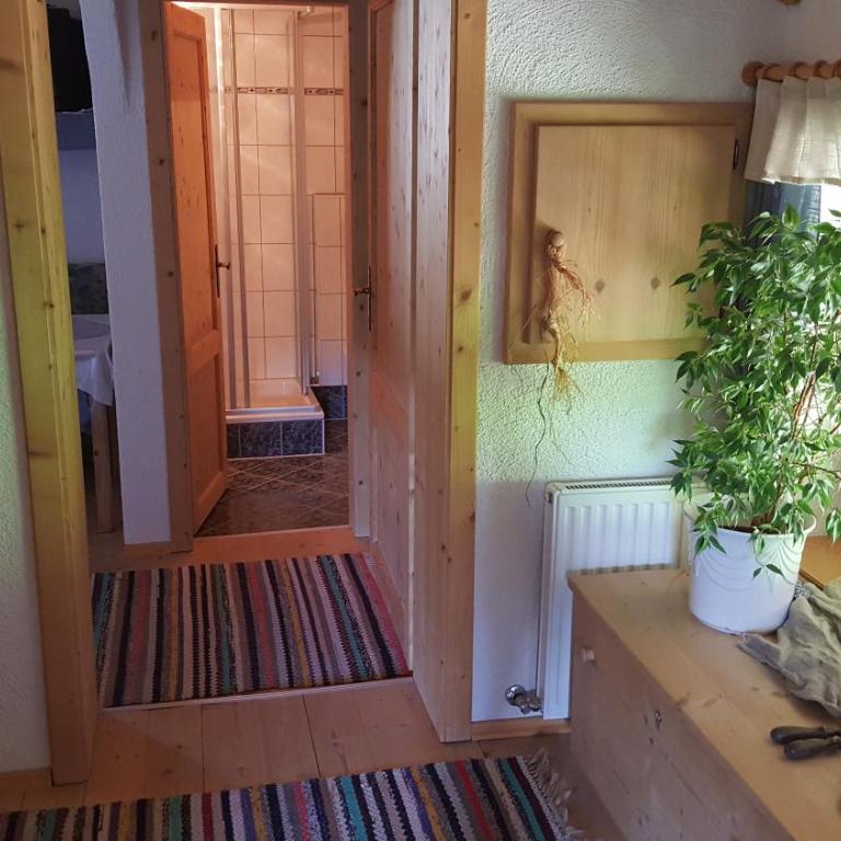 Bio-Berghof - Apartment Hemerkogel mit 1 Schlafzimmer - 3