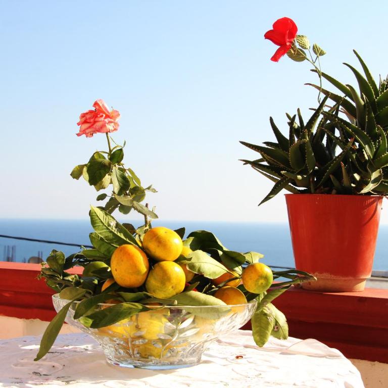 Alvanita Apartments - One-Bedroom Apartment with Balcony and Sea View (3 Adults) - 1