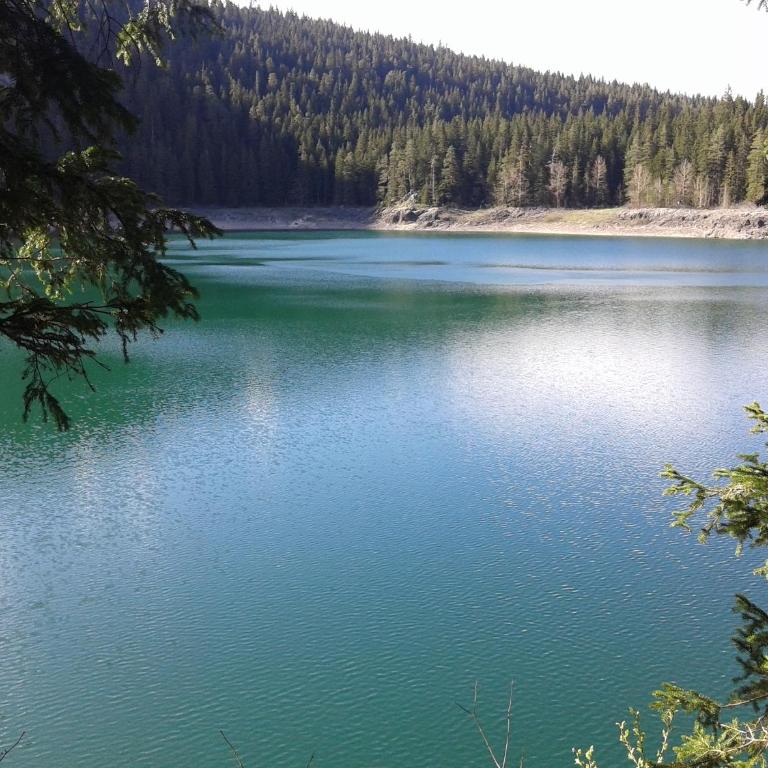 Apartment Vujisic - Two-Bedroom Apartment - 2