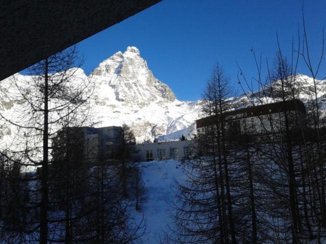 Appartamento Les Jumeaux - Appartamento con Vista Montagna - 50