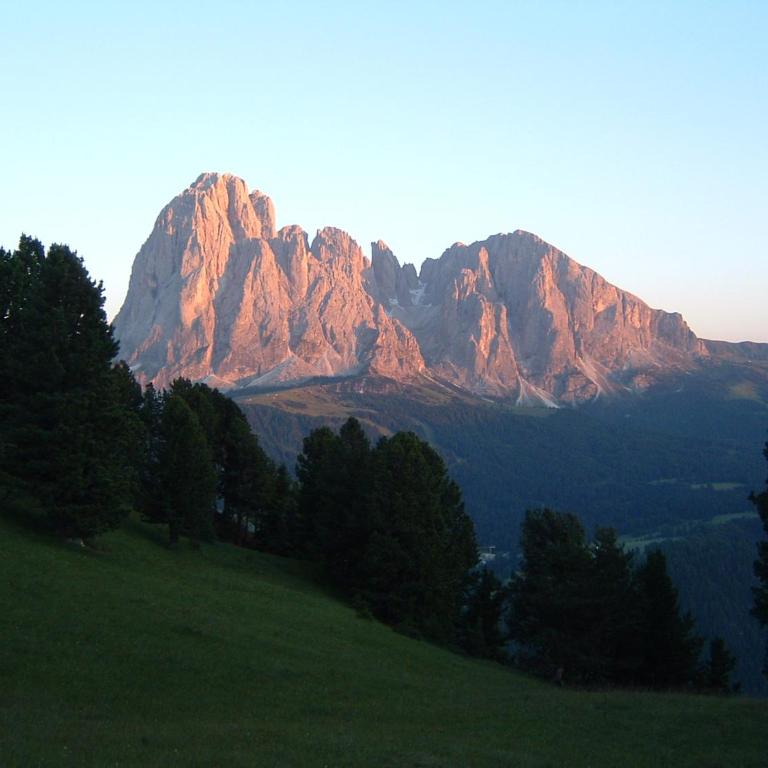 Appartamento Dolomiti - Appartamento con Vista Montagna - 55