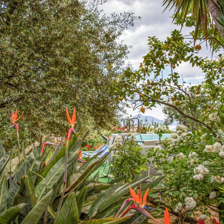 Raggio di Sole - Two-Bedroom House with Private Pool - 41