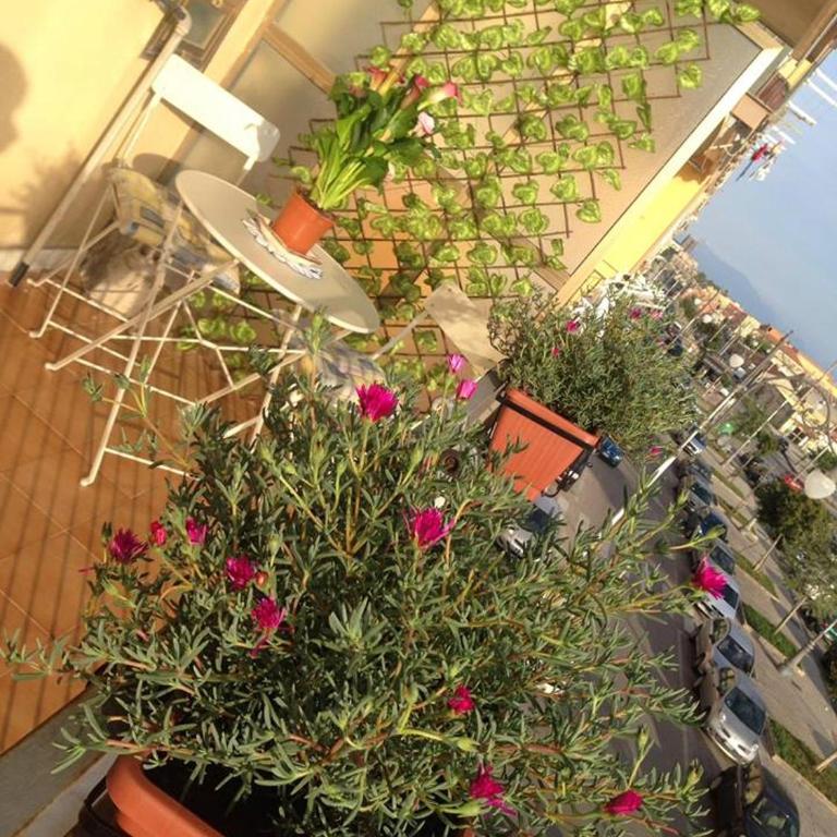 Leucosia Bed & Breakfast - Monolocale Familiare - 4