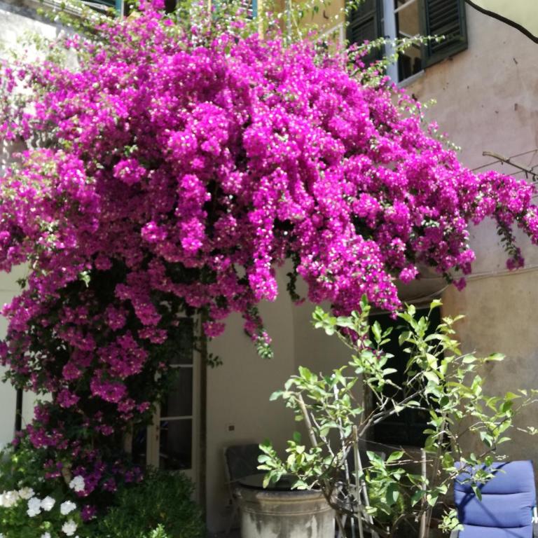 Relais Sassetti - Apartment - 42