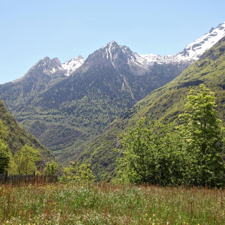 Roulottes Montagne Pyrenees - Roulotte Montagne Cleo - 10