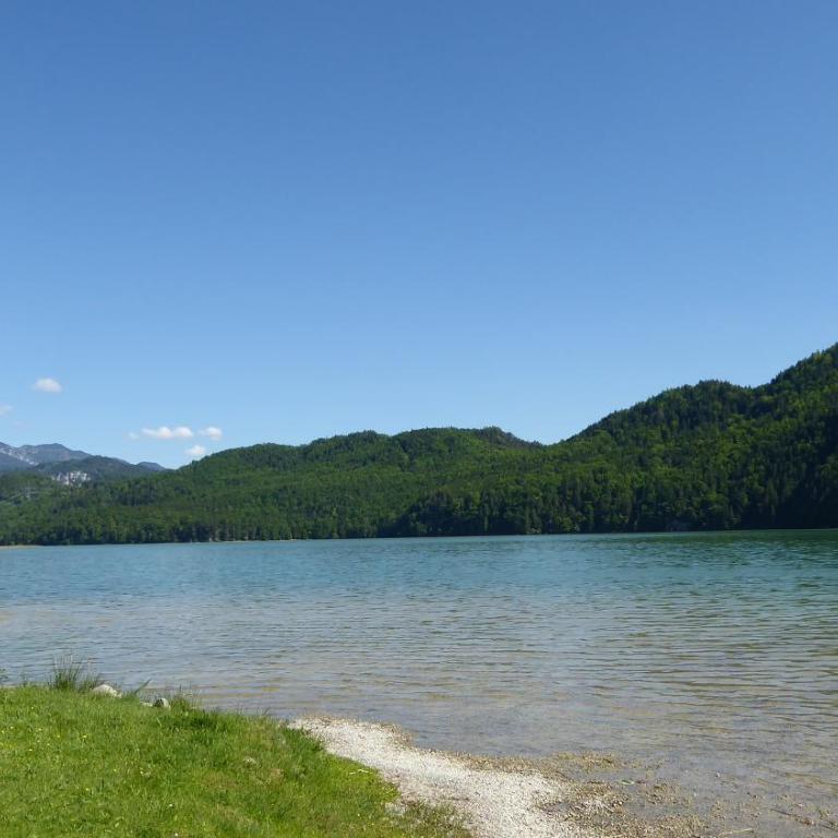 FW Weissensee - Apartment mit Sauna - 23
