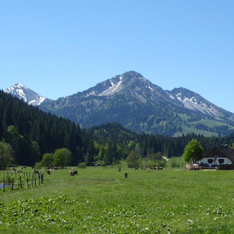 FW Weissensee - Apartment mit Sauna - 30