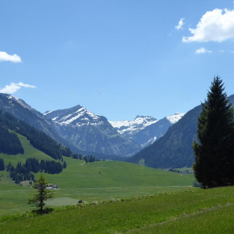 FW Weissensee - Apartment mit Sauna - 32