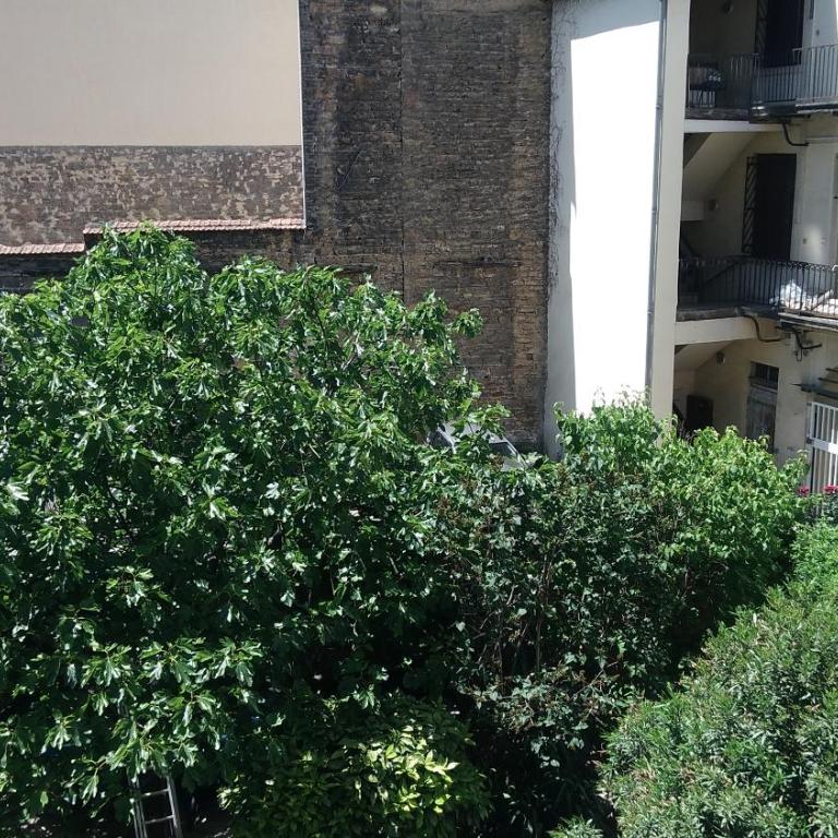 T3 55m2 & Garage, proche Saône, et 5 min Vieux Lyon via Metro D - Appartement 2 Chambres - 18