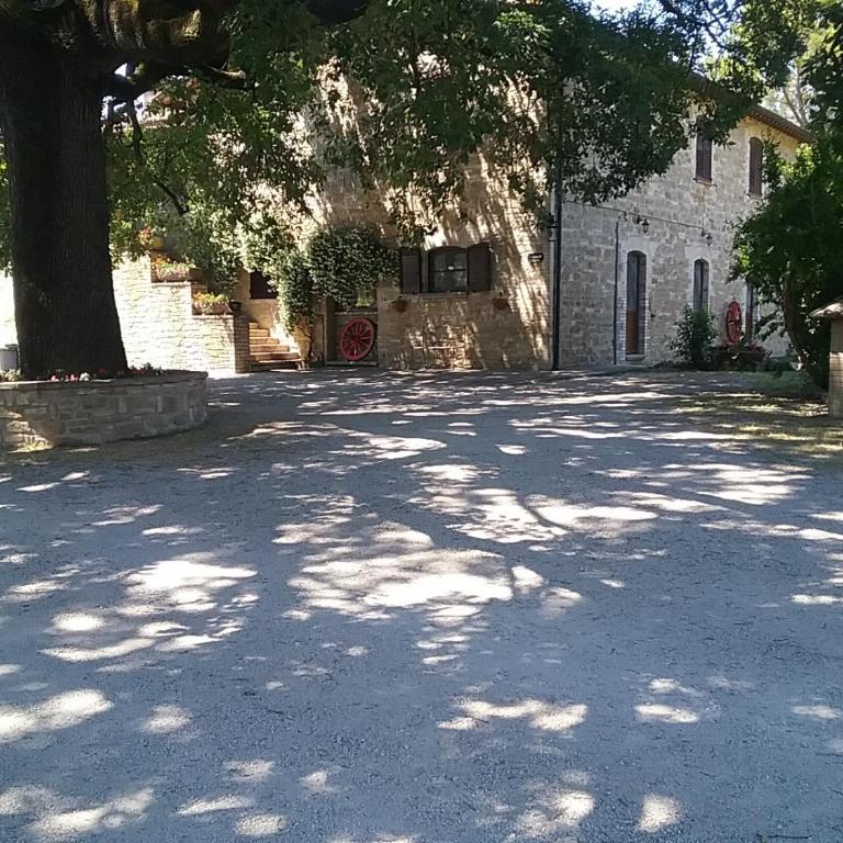 Il Casale della Quercia - Estudio (2 adultos) - 9