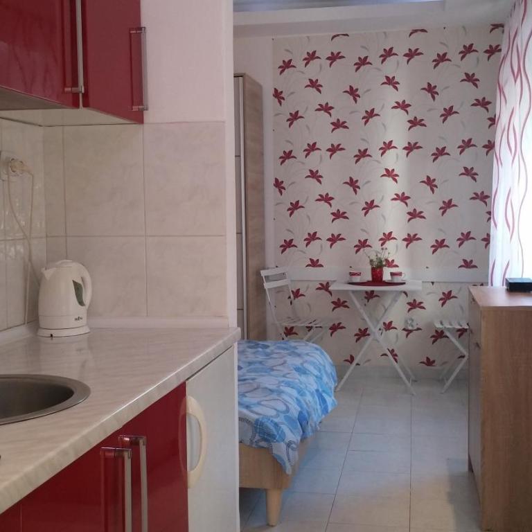 Apartments Villa PM - Economy Studio sa Pogledom na Vrt - 7