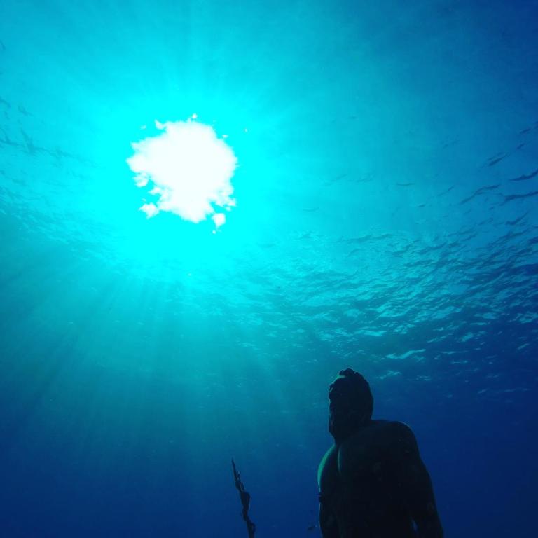 Blue Reef - Apartment - 12