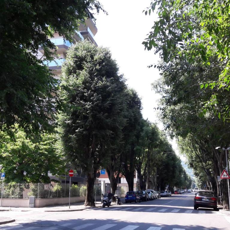 Bolognamania Apartments-Prime - Apartment - 24