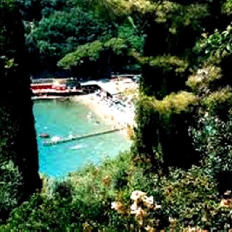 BLU GARDEN FLAT private parking - Appartamento con Vista Giardino - 45