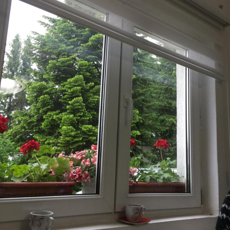 Dobrila Apartments - Apartman sa 1 Spavaćom Sobom - 6