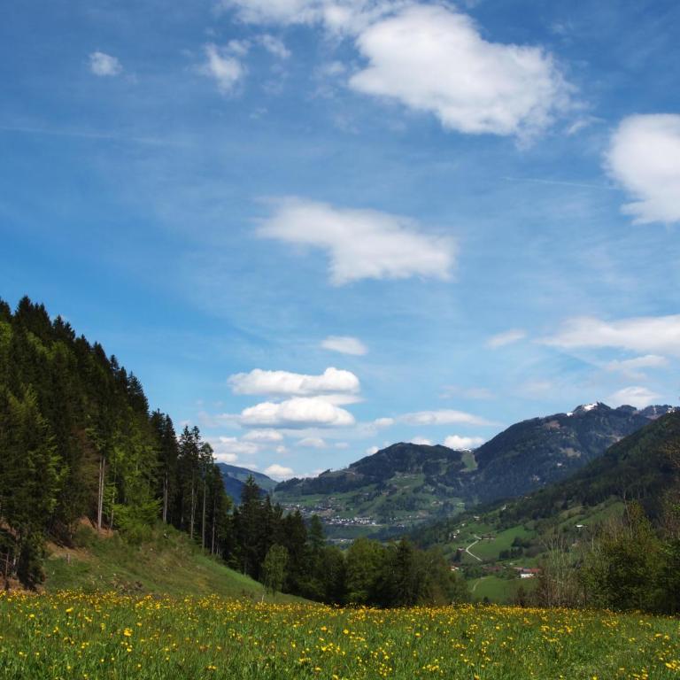 Unterhofgut - Apartment with Mountain View - 18