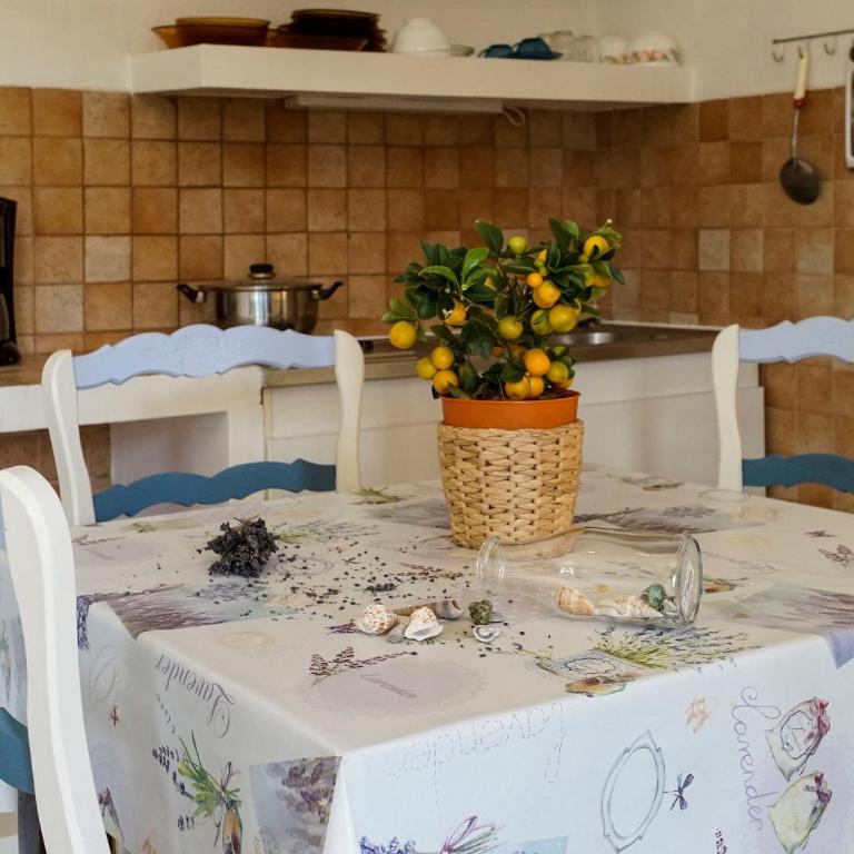 Résidence Les Mandariniers - Studio (2 Adultes + 1 Enfant) - 35
