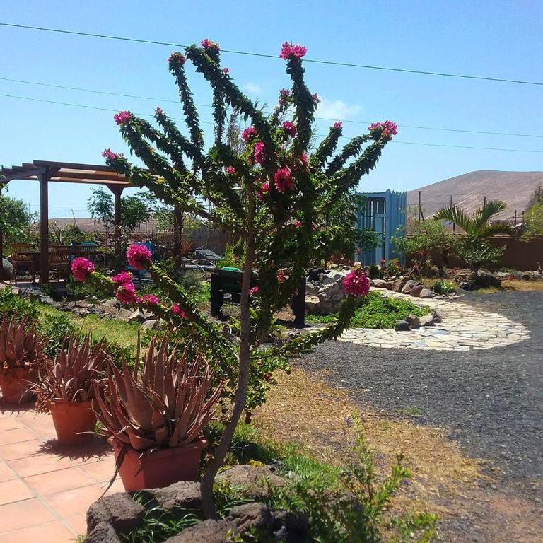 Casa Rural SoleaRio - Apartamento de 1 dormitorio - 1