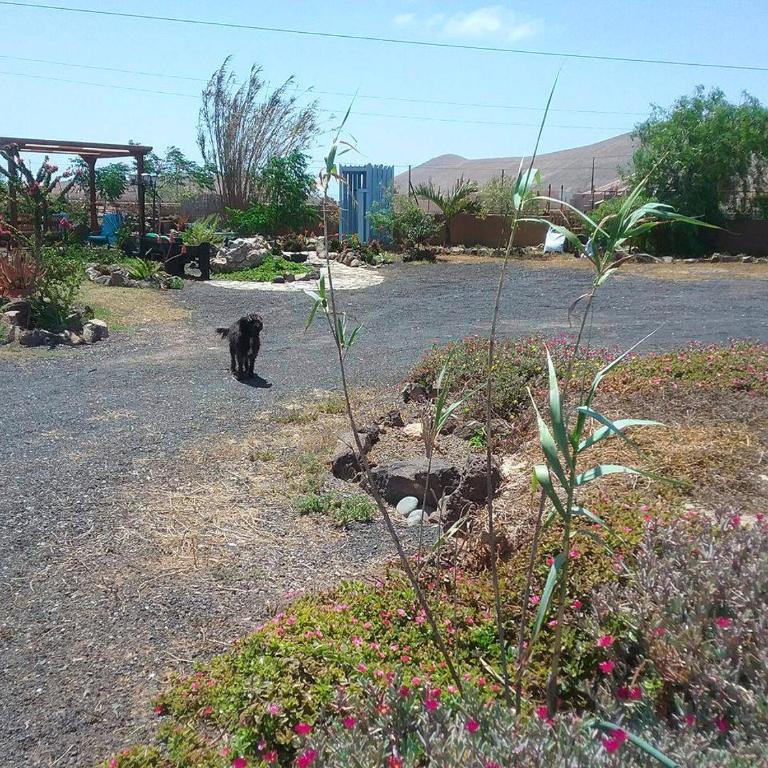Casa Rural SoleaRio - Apartamento de 1 dormitorio - 19