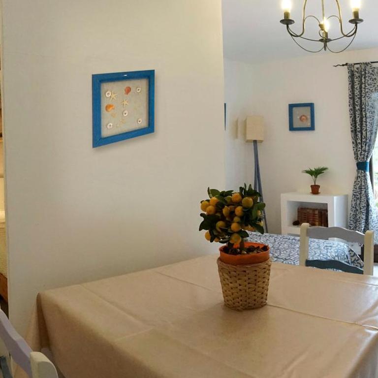 Résidence Les Mandariniers - Studio (2 Adultes + 1 Enfant) - 4