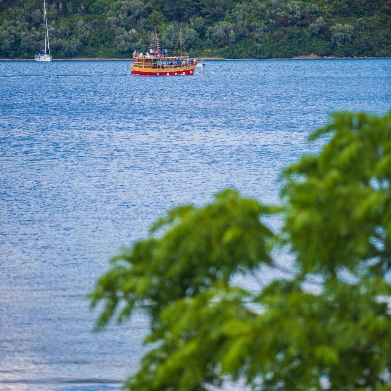 Aruba Apartments - Apartman s 1 Spavaćom Sobom i Pogledom na More - 9