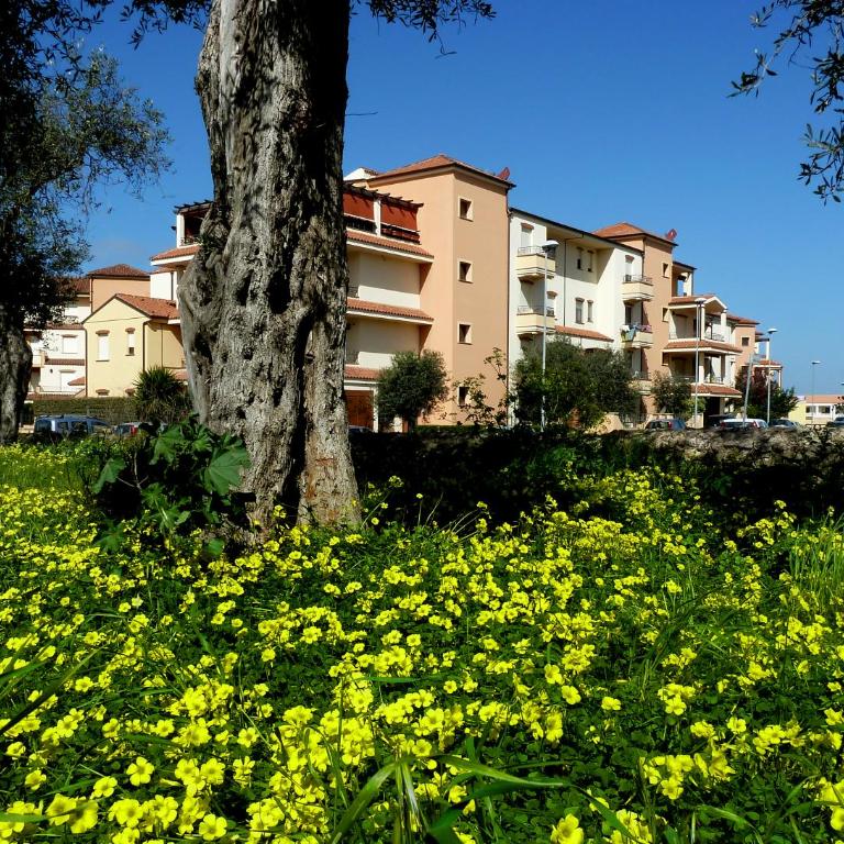 Borgo degli Ulivi - Appartamento con Terrazza - 6