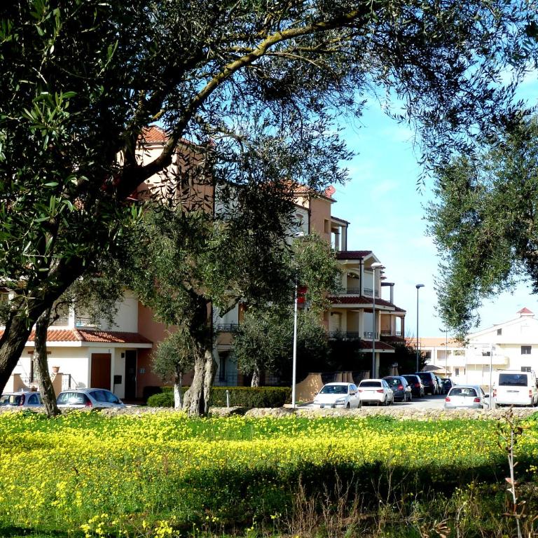 Borgo degli Ulivi - Appartamento con Terrazza - 15