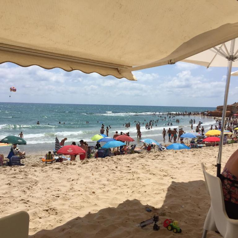 Playa Elisa Bay - Apartamento - Planta baja - 41