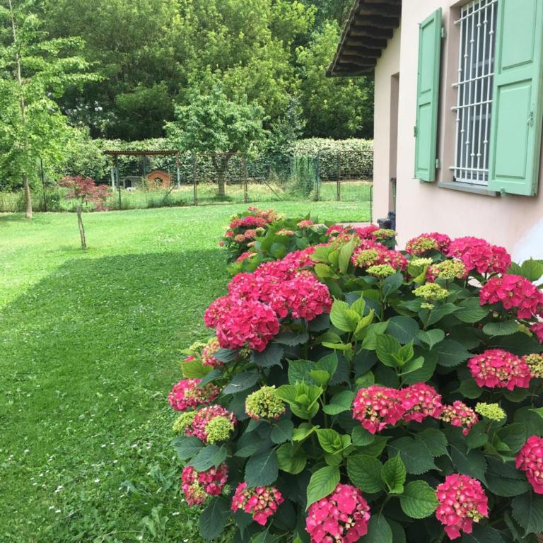 Villa Favilli - Villa - 38
