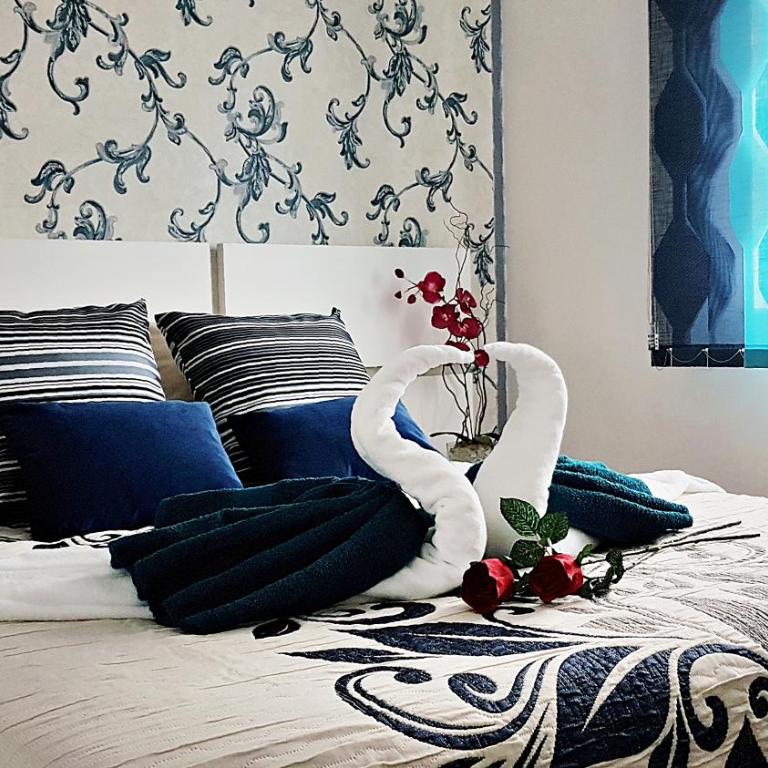 Salamanca Frog - Apartamento de 2 dormitorios - 35