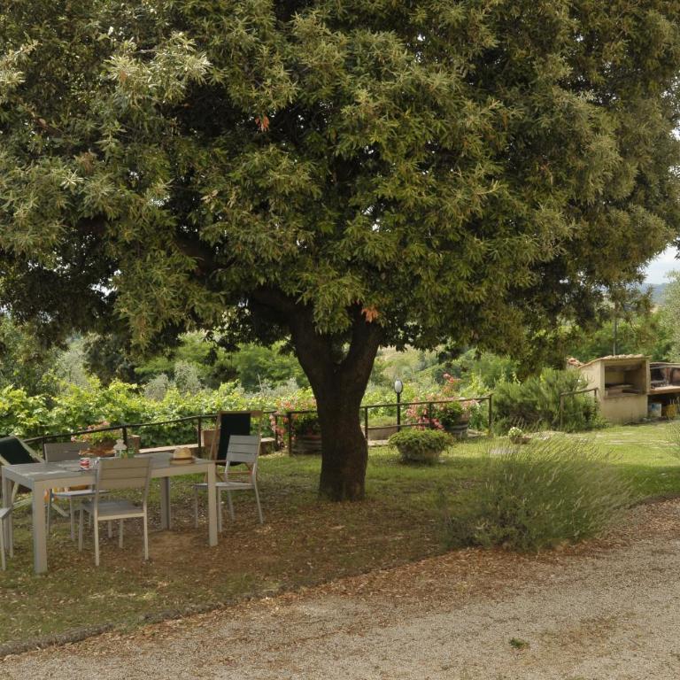 Agriturismo Renai e Monte II - Appartamento con 2 Camere da Letto - 3