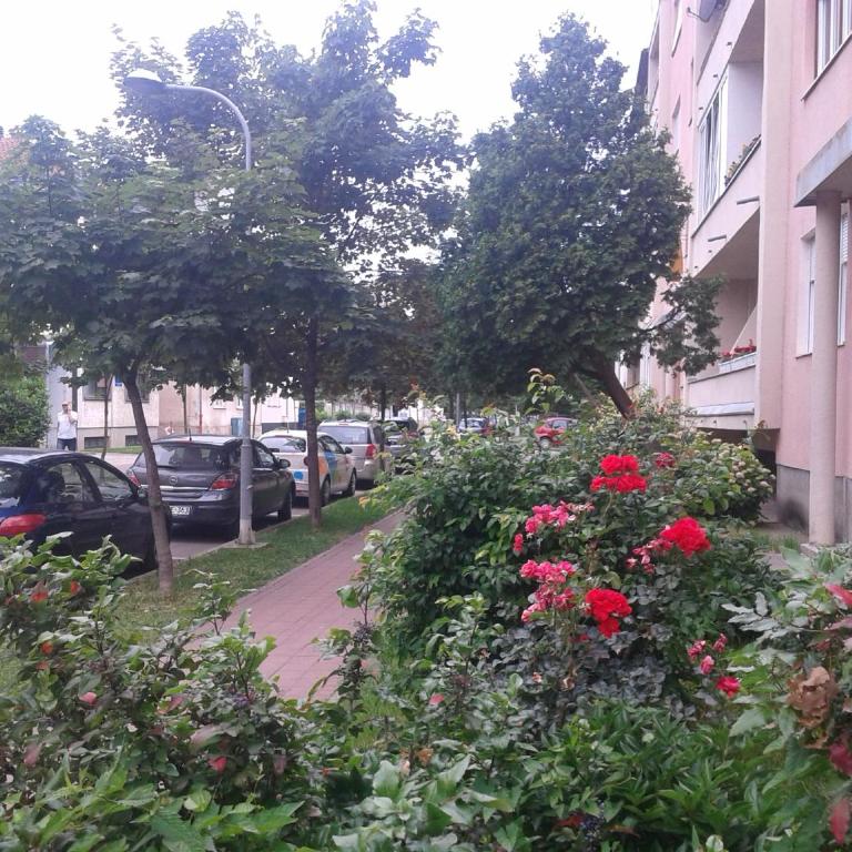 Apartment MA - Apartman sa 3 Spavaće Sobe - 27