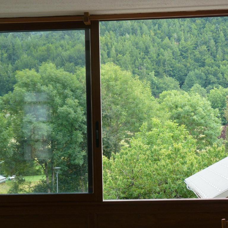 Les Serintes - Appartement 1 Chambre - 32