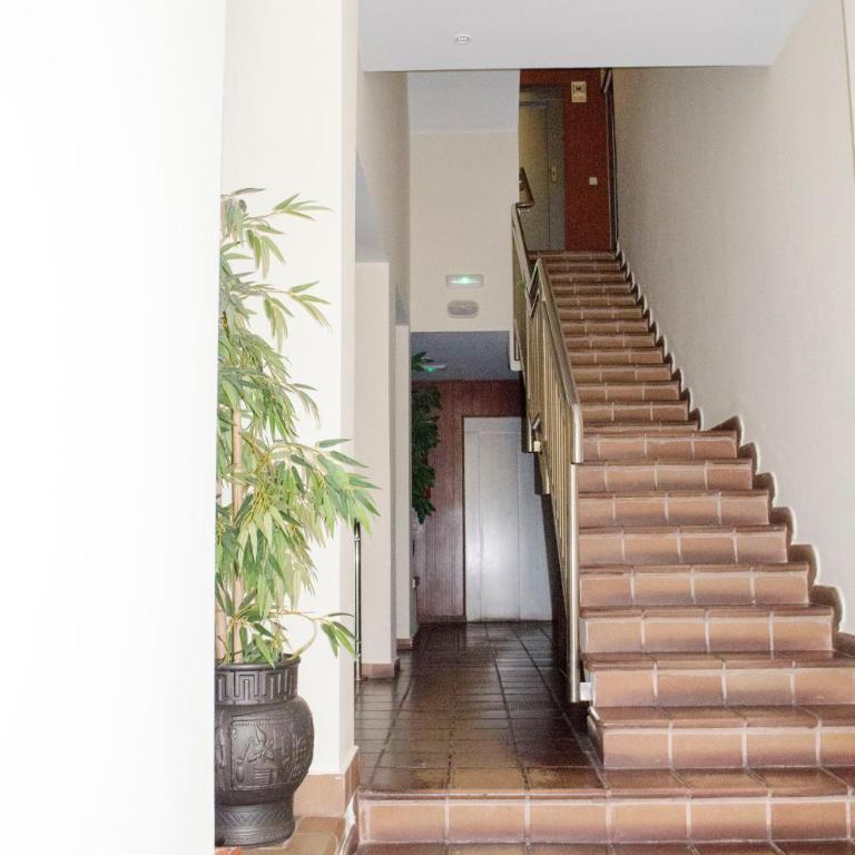Coral Dream - Apartamento - 22