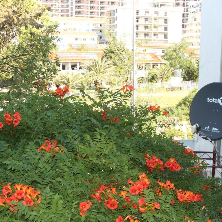 Apartments Bečić - One-Bedroom Apartment - 8