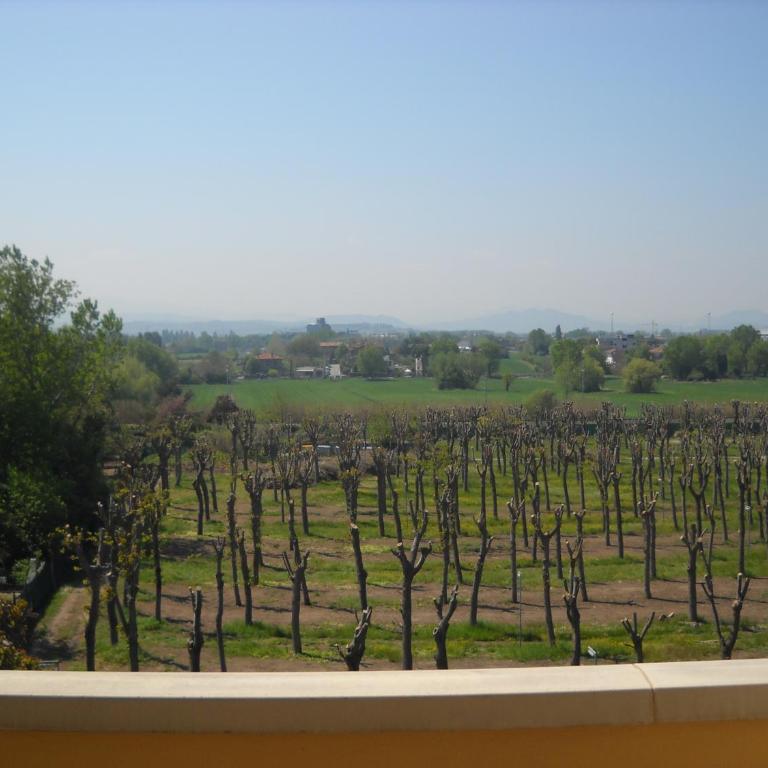 Residence Maryel - Appartamento con 1 Camera da Letto (4 Adulti) - 15