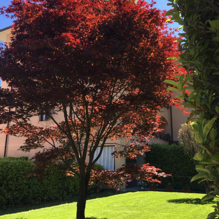 Appartamento rosada - Apartment - 7