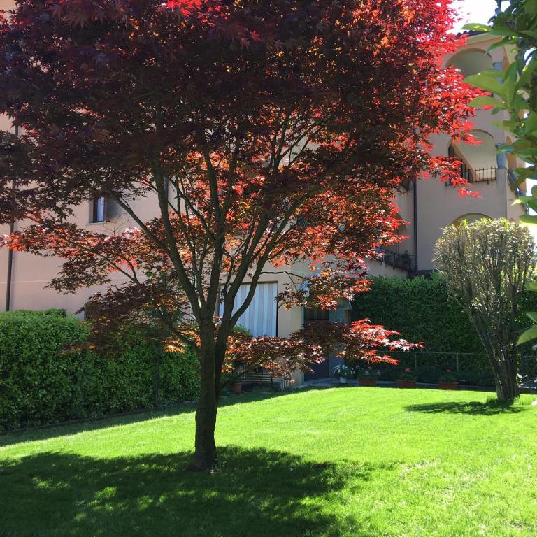 Appartamento rosada - Apartment - 9