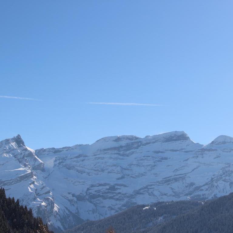 Les Frênes - Apartment mit Blick auf die Berge - 5