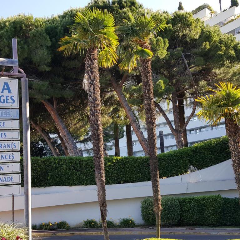 Studio des Anges - Studio-Apartment - 18