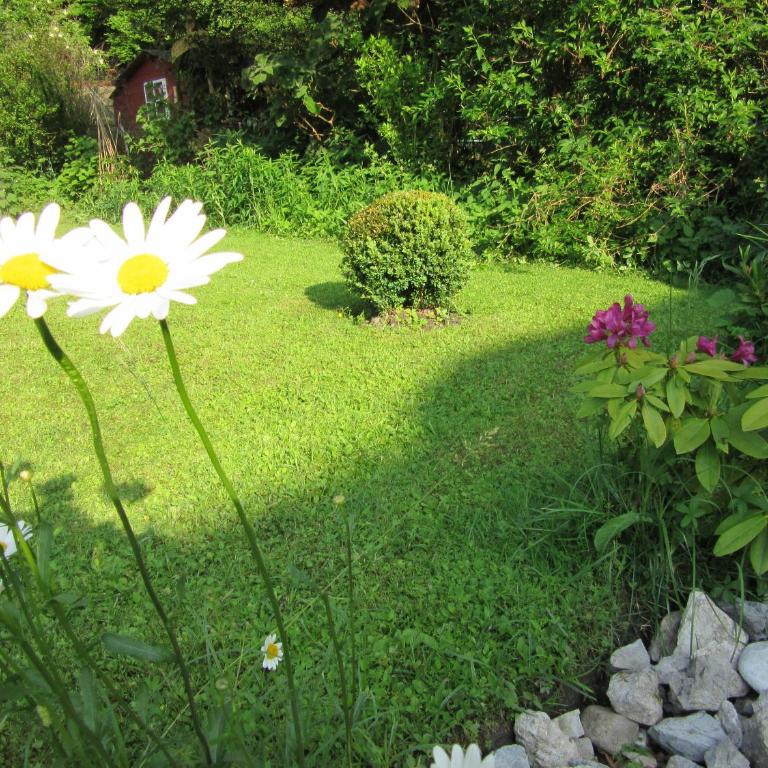 Appartement-Heuberg - Apartment mit 3 Schlafzimmern - 8