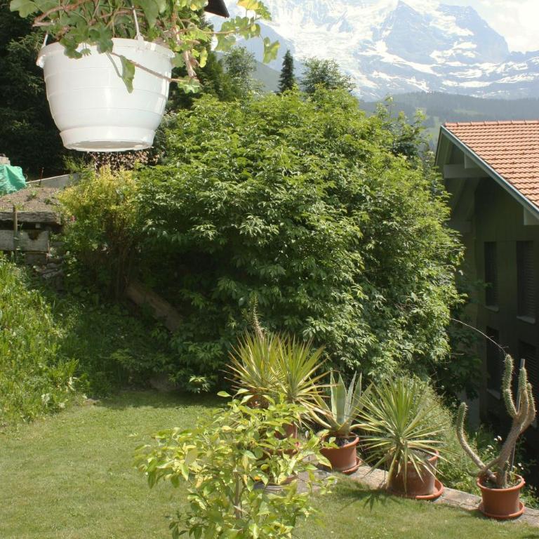 Chalet Protea - Chalet (2 Erwachsene) - 21