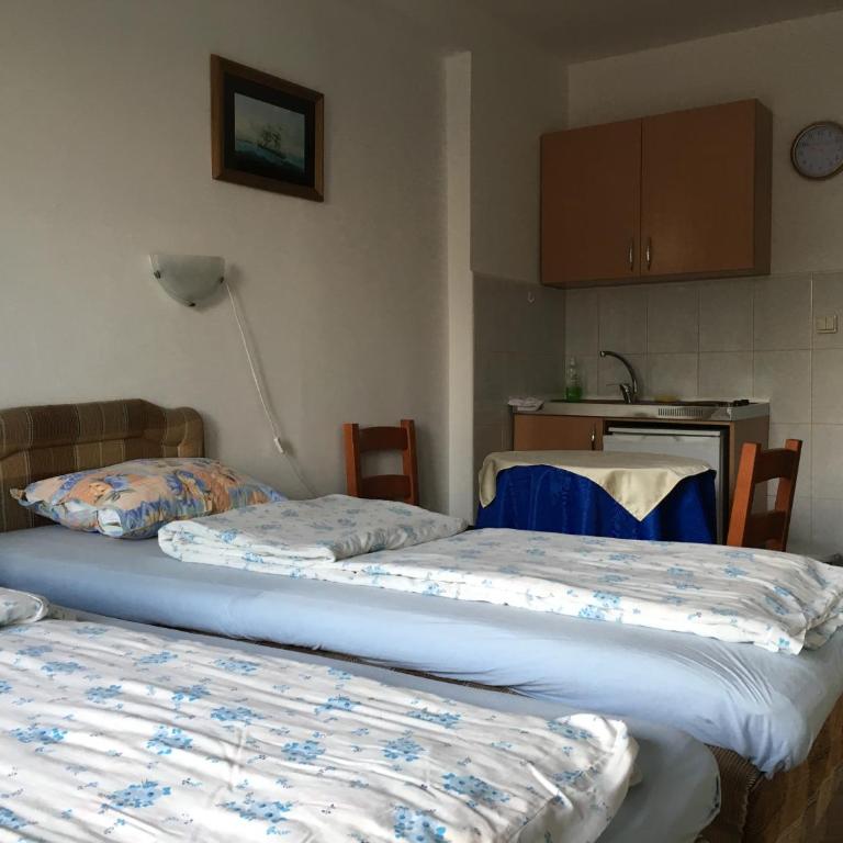 Apartments Upitnik - Studio with Balcony - 4